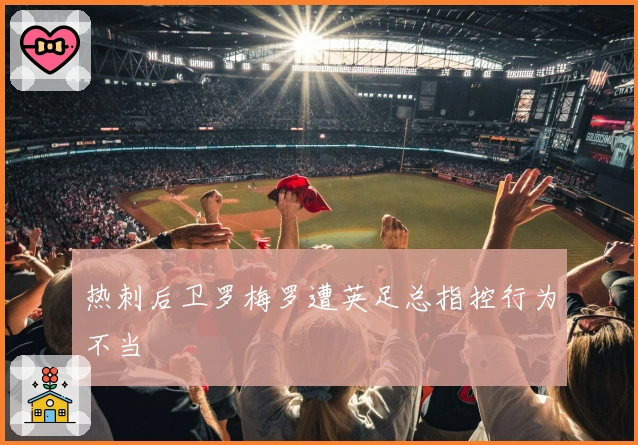 热刺后卫罗梅罗遭英足总指控行为不当