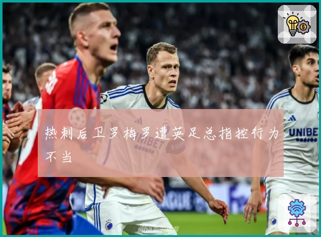热刺后卫罗梅罗遭英足总指控行为不当